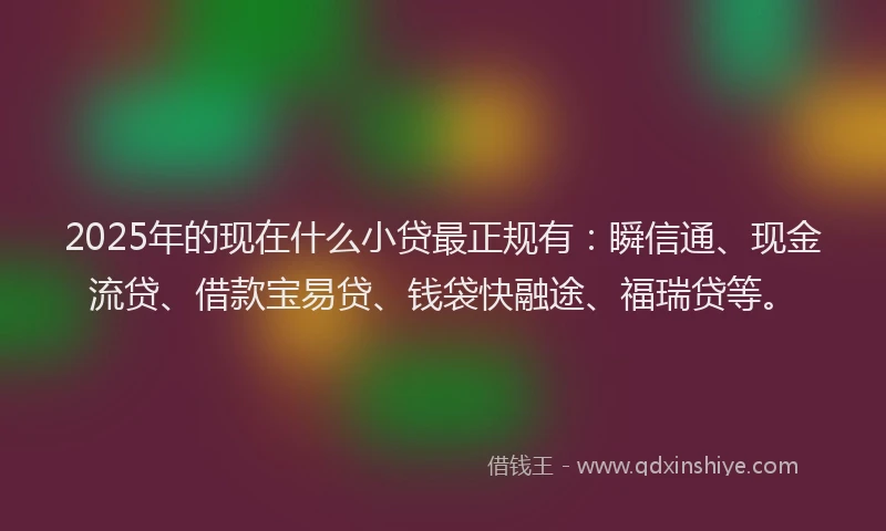 2025年的现在什么小贷最正规有：瞬信通、现金流贷、借款宝易贷、钱袋快融途、福瑞贷等。