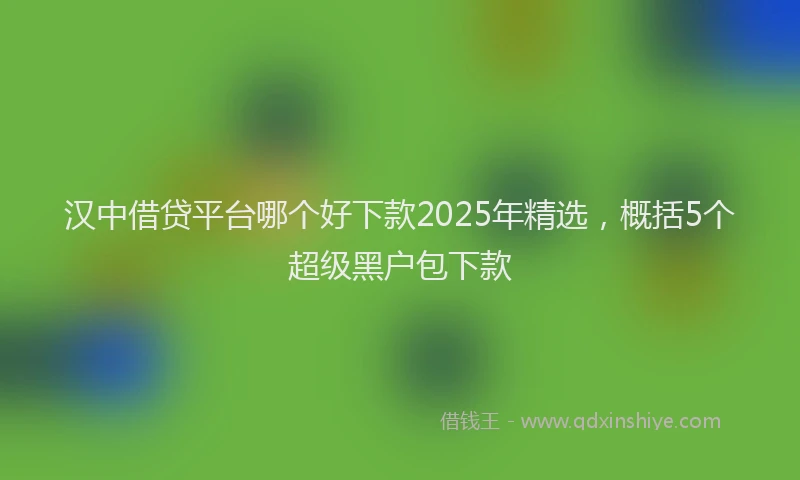 汉中借贷平台哪个好下款2025年精选，概括5个超级黑户包下款