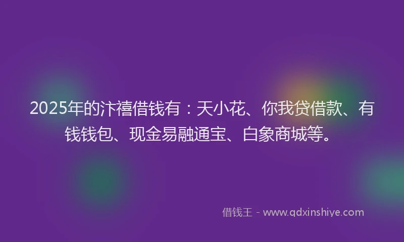 2025年的汴禧借钱有：天小花、你我贷借款、有钱钱包、现金易融通宝、白象商城等。