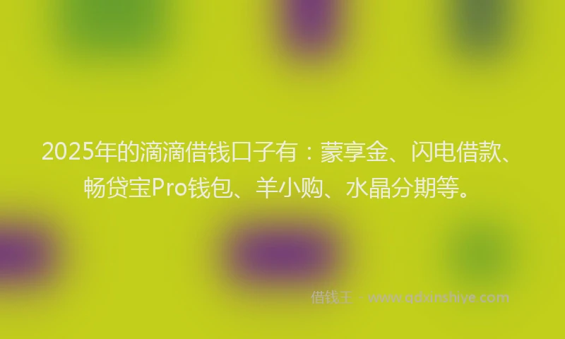 2025年的滴滴借钱口子有：蒙享金、闪电借款、畅贷宝Pro钱包、羊小购、水晶分期等。