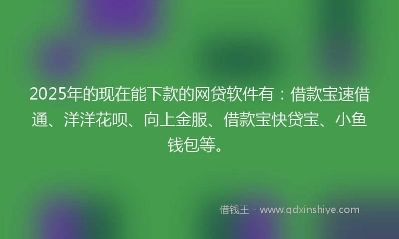 2025年的现在能下款的网贷软件有：借款宝速借通、洋洋花呗、向上金服、借款宝快贷宝、小鱼钱包等。