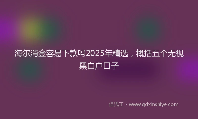 海尔消金容易下款吗2025年精选，概括五个无视黑白户口子