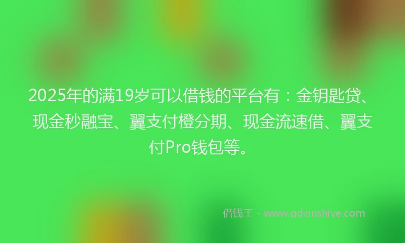 2025年的满19岁可以借钱的平台有：金钥匙贷、现金秒融宝、翼支付橙分期、现金流速借、翼支付Pro钱包等。