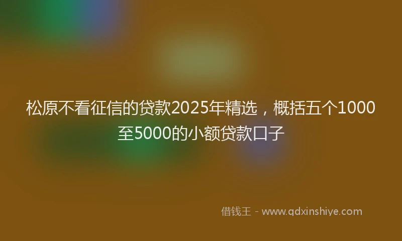 松原不看征信的贷款2025年精选，概括五个1000至5000的小额贷款口子