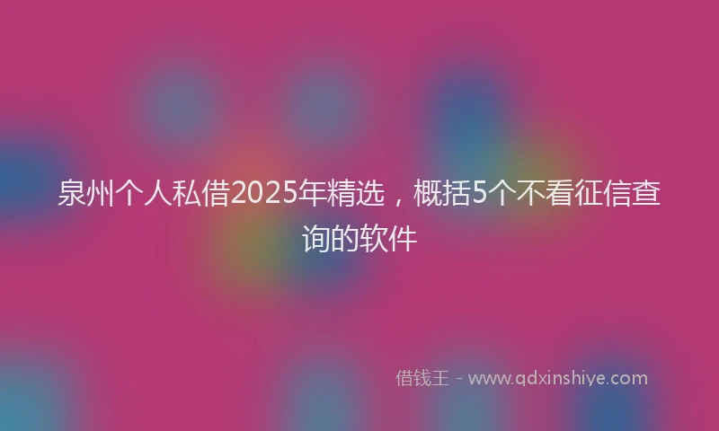 泉州个人私借2025年精选，概括5个不看征信查询的软件