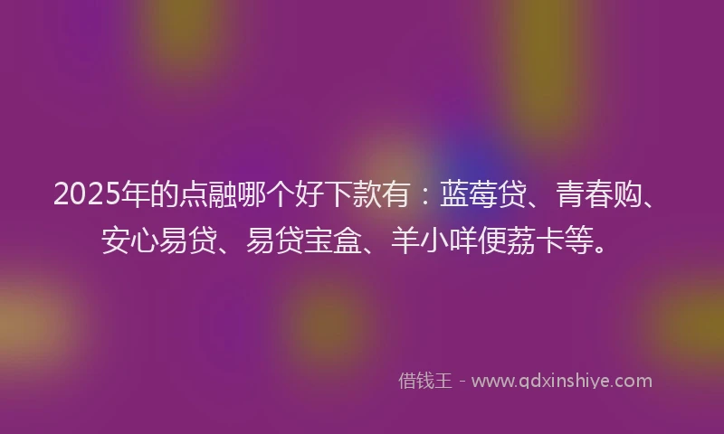 2025年的点融哪个好下款有：蓝莓贷、青春购、安心易贷、易贷宝盒、羊小咩便荔卡等。