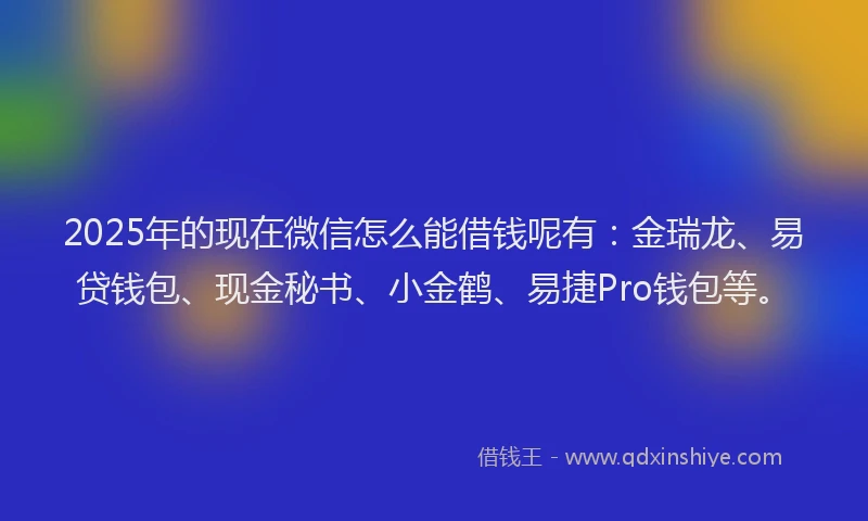 2025年的现在微信怎么能借钱呢有：金瑞龙、易贷钱包、现金秘书、小金鹤、易捷Pro钱包等。