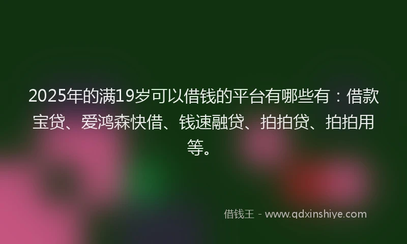 2025年的满19岁可以借钱的平台有哪些有：借款宝贷、爱鸿森快借、钱速融贷、拍拍贷、拍拍用等。