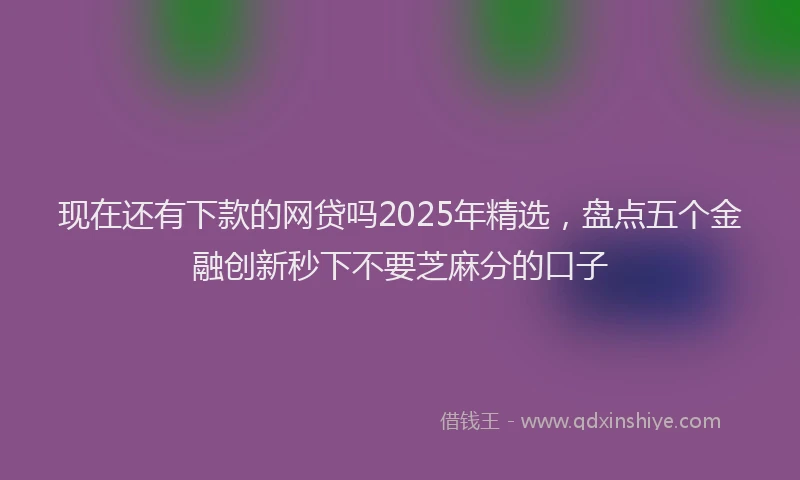 现在还有下款的网贷吗2025年精选，盘点五个金融创新秒下不要芝麻分的口子