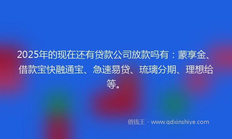 2025年的现在还有贷款公司放款吗有：蒙享金、借款宝快融通宝、急速易贷、琉璃分期、理想给等。