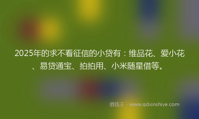 2025年的求不看征信的小贷有：维品花、爱小花、易贷通宝、拍拍用、小米随星借等。