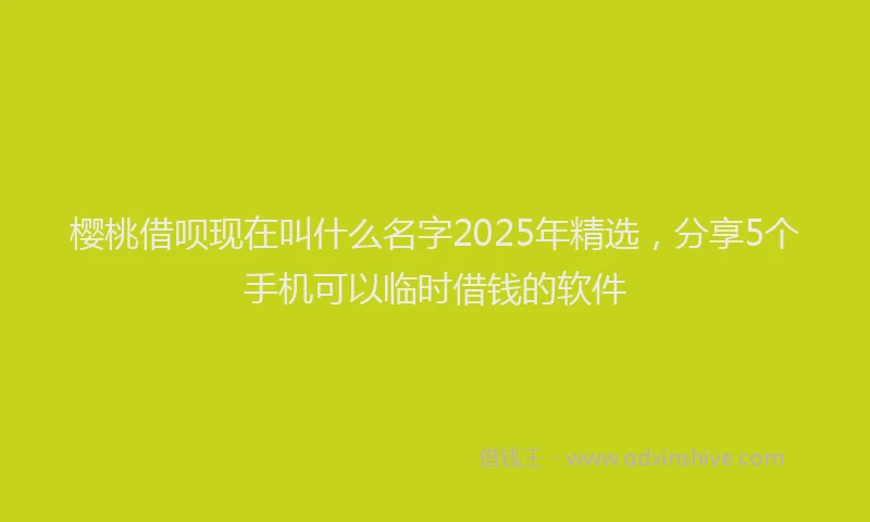 樱桃借呗现在叫什么名字2025年精选，分享5个手机可以临时借钱的软件