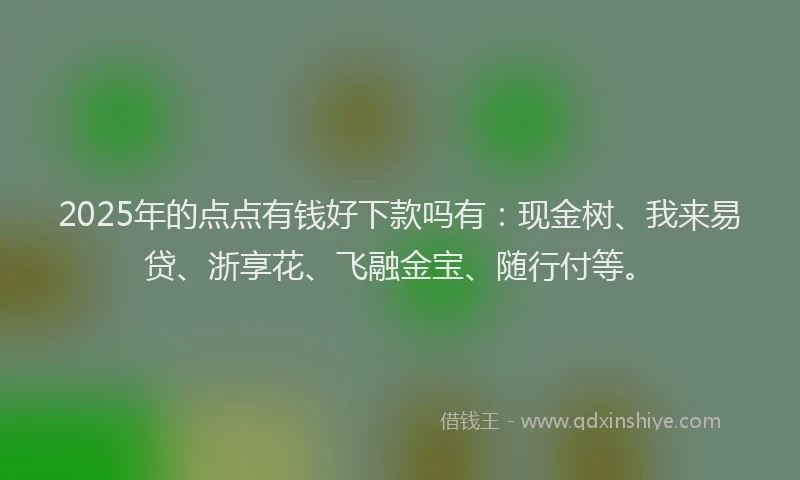 2025年的点点有钱好下款吗有：现金树、我来易贷、浙享花、飞融金宝、随行付等。