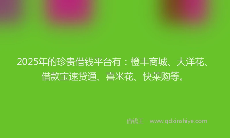 2025年的珍贵借钱平台有：橙丰商城、大洋花、借款宝速贷通、喜米花、快莱购等。