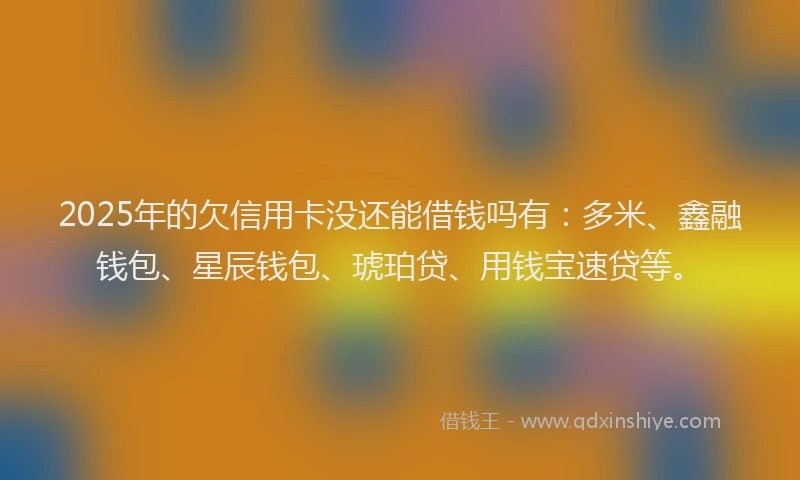 2025年的欠信用卡没还能借钱吗有：多米、鑫融钱包、星辰钱包、琥珀贷、用钱宝速贷等。