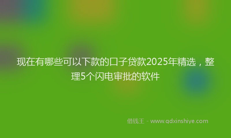 现在有哪些可以下款的口子贷款2025年精选，整理5个闪电审批的软件