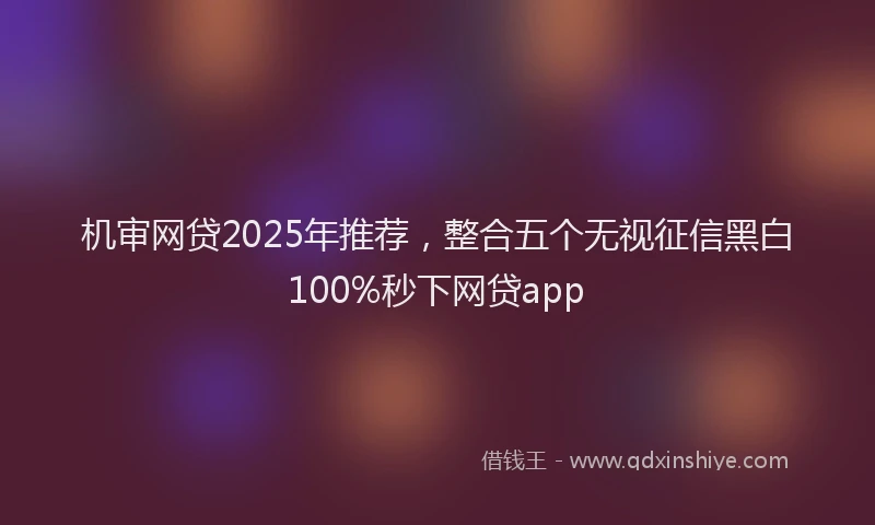 机审网贷2025年推荐，整合五个无视征信黑白100%秒下网贷app