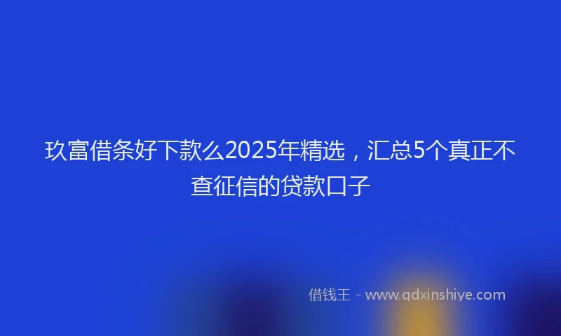 玖富借条好下款么2025年精选，汇总5个真正不查征信的贷款口子