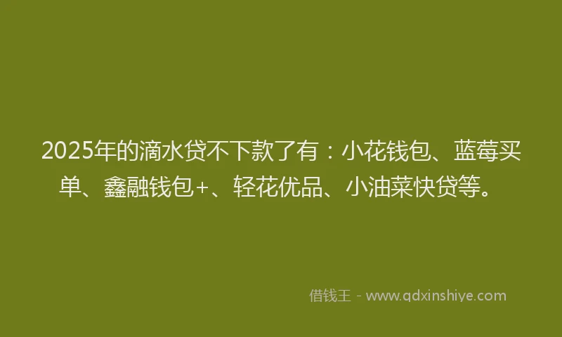 2025年的滴水贷不下款了有：小花钱包、蓝莓买单、鑫融钱包+、轻花优品、小油菜快贷等。