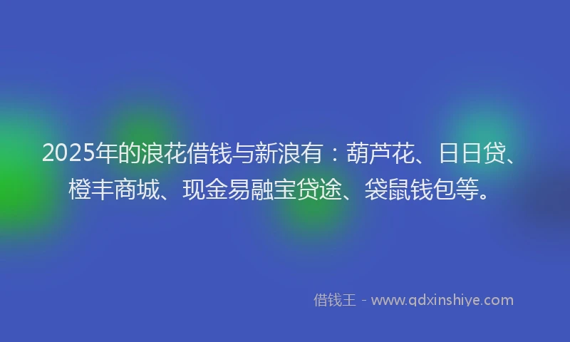 2025年的浪花借钱与新浪有：葫芦花、日日贷、橙丰商城、现金易融宝贷途、袋鼠钱包等。