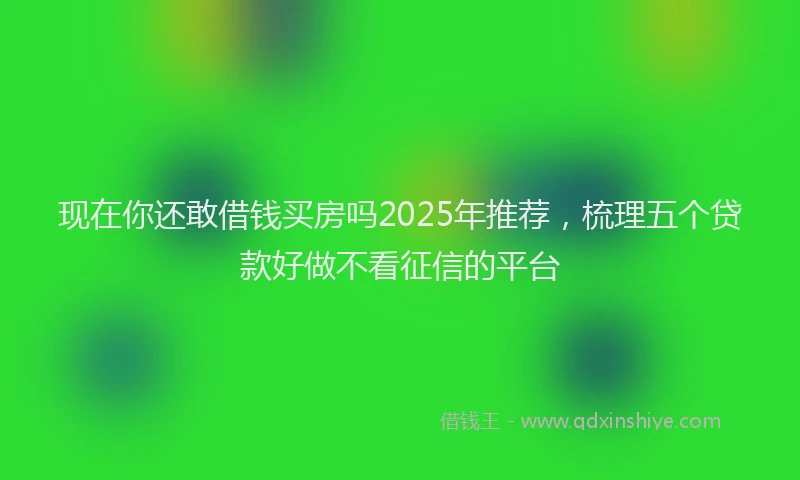现在你还敢借钱买房吗2025年推荐，梳理五个贷款好做不看征信的平台
