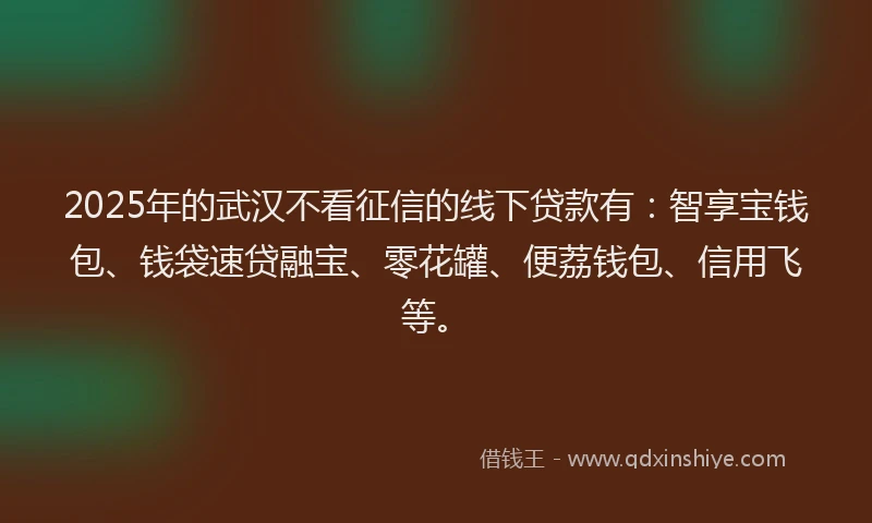 2025年的武汉不看征信的线下贷款有：智享宝钱包、钱袋速贷融宝、零花罐、便荔钱包、信用飞等。