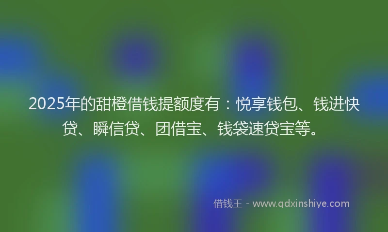 2025年的甜橙借钱提额度有：悦享钱包、钱进快贷、瞬信贷、团借宝、钱袋速贷宝等。