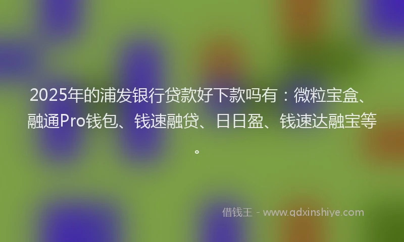 2025年的浦发银行贷款好下款吗有：微粒宝盒、融通Pro钱包、钱速融贷、日日盈、钱速达融宝等。