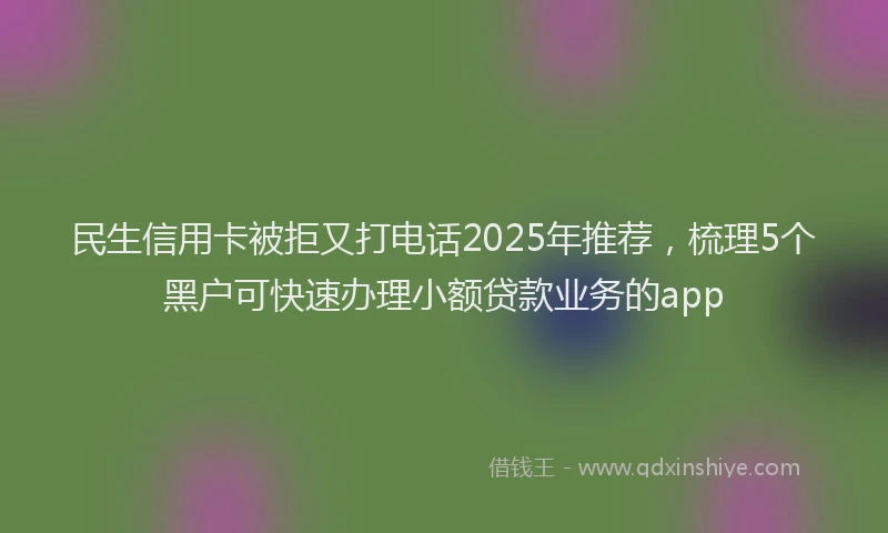 民生信用卡被拒又打电话2025年推荐，梳理5个黑户可快速办理小额贷款业务的app