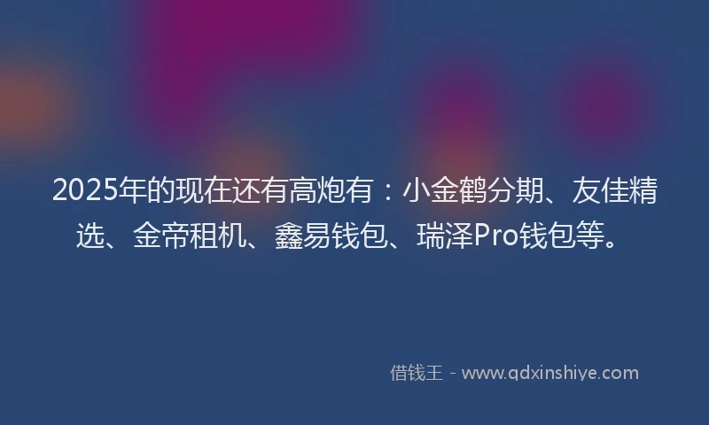 2025年的现在还有高炮有：小金鹤分期、友佳精选、金帝租机、鑫易钱包、瑞泽Pro钱包等。