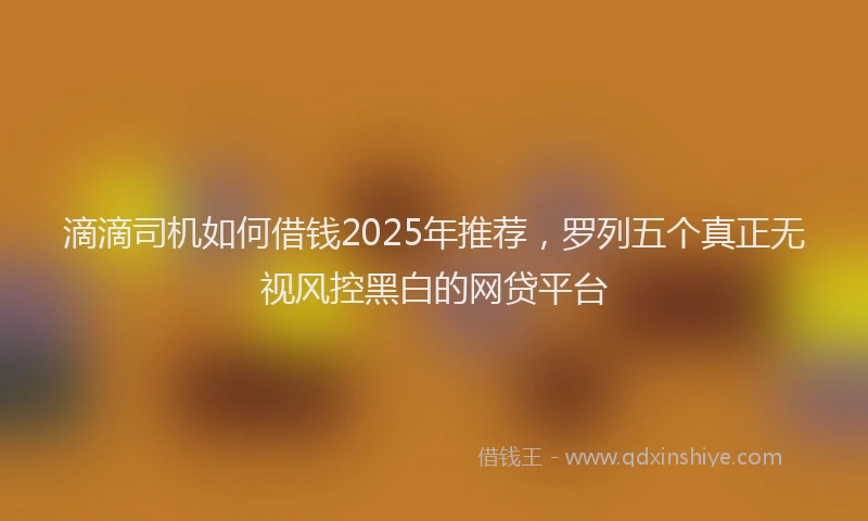滴滴司机如何借钱2025年推荐，罗列五个真正无视风控黑白的网贷平台
