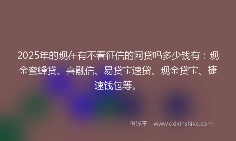 2025年的现在有不看征信的网贷吗多少钱有：现金蜜蜂贷、喜融信、易贷宝速贷、现金贷宝、捷速钱包等。