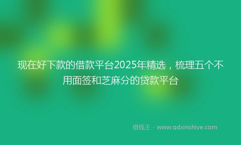 现在好下款的借款平台2025年精选，梳理五个不用面签和芝麻分的贷款平台