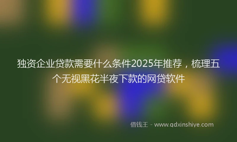 独资企业贷款需要什么条件2025年推荐，梳理五个无视黑花半夜下款的网贷软件