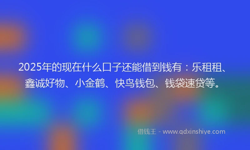 2025年的现在什么口子还能借到钱有：乐租租、鑫诚好物、小金鹤、快鸟钱包、钱袋速贷等。