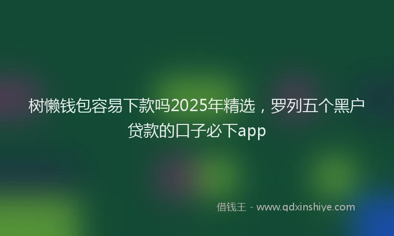树懒钱包容易下款吗2025年精选，罗列五个黑户贷款的口子必下app