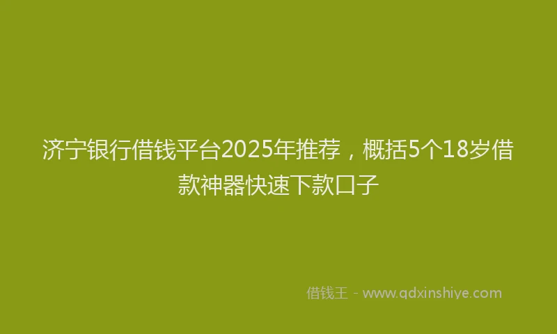 济宁银行借钱平台2025年推荐，概括5个18岁借款神器快速下款口子