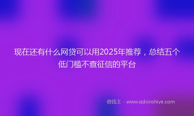 现在还有什么网贷可以用2025年推荐，总结五个低门槛不查征信的平台