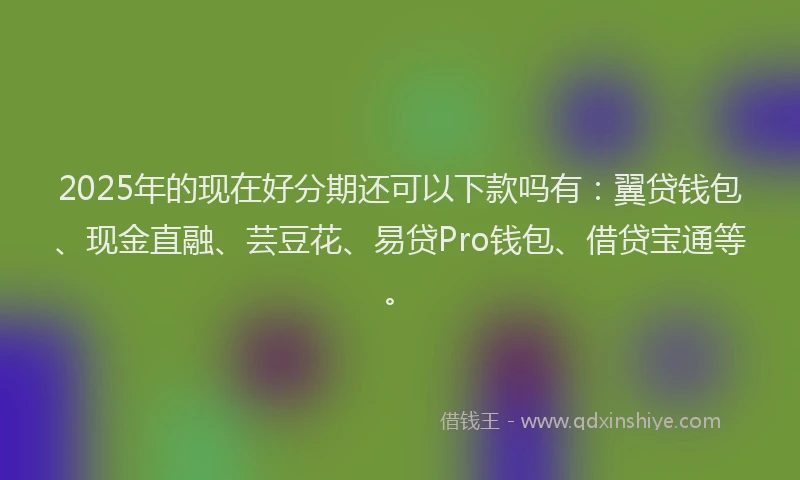 2025年的现在好分期还可以下款吗有：翼贷钱包、现金直融、芸豆花、易贷Pro钱包、借贷宝通等。