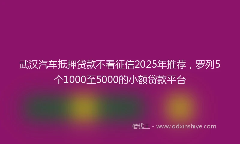 武汉汽车抵押贷款不看征信2025年推荐，罗列5个1000至5000的小额贷款平台