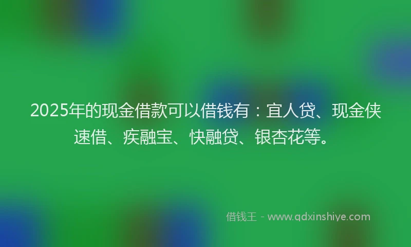 2025年的现金借款可以借钱有：宜人贷、现金侠速借、疾融宝、快融贷、银杏花等。