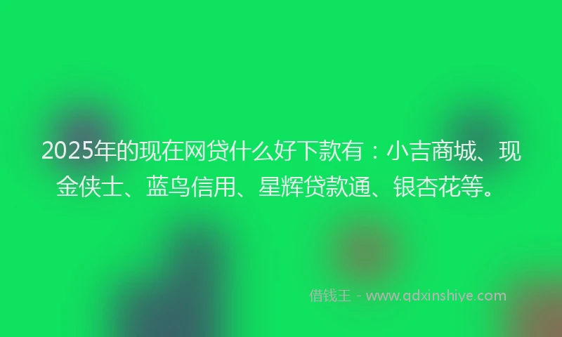 2025年的现在网贷什么好下款有：小吉商城、现金侠士、蓝鸟信用、星辉贷款通、银杏花等。
