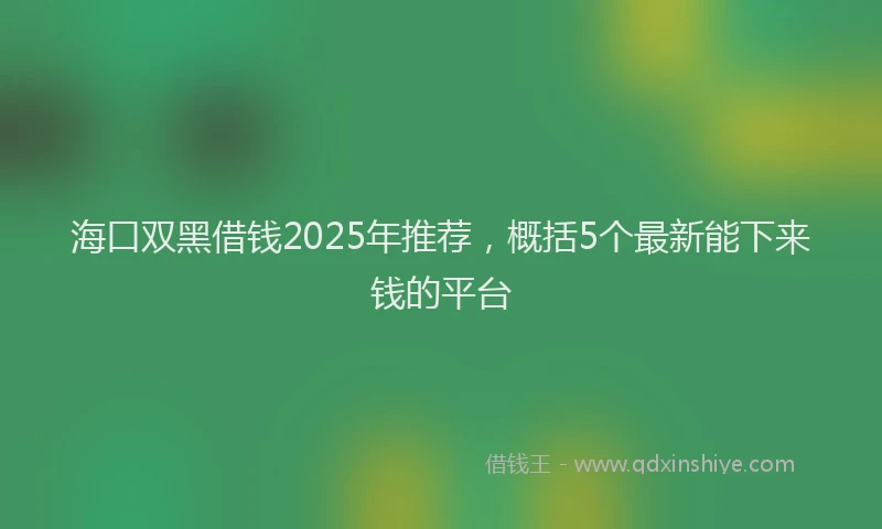 海口双黑借钱2025年推荐，概括5个最新能下来钱的平台