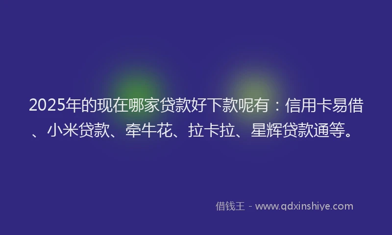 2025年的现在哪家贷款好下款呢有：信用卡易借、小米贷款、牵牛花、拉卡拉、星辉贷款通等。