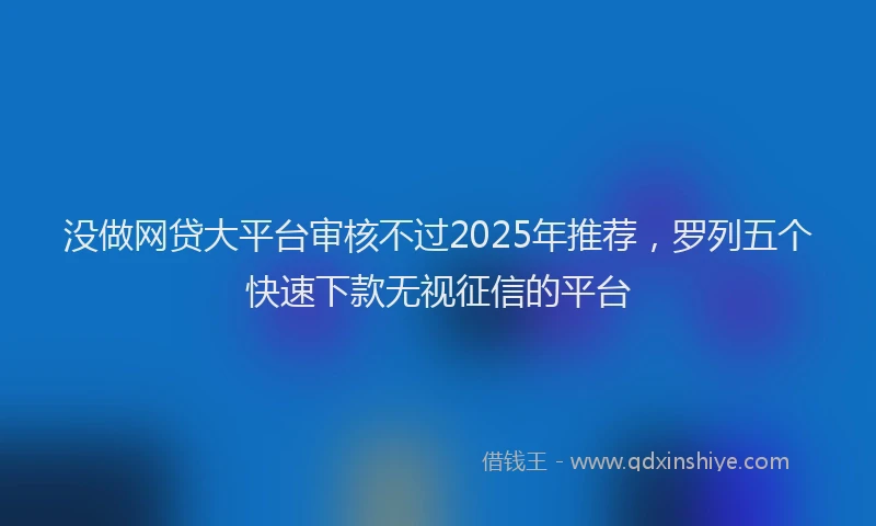 没做网贷大平台审核不过2025年推荐，罗列五个快速下款无视征信的平台