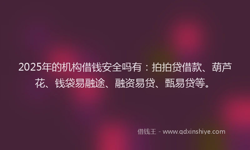 2025年的机构借钱安全吗有：拍拍贷借款、葫芦花、钱袋易融途、融资易贷、甄易贷等。