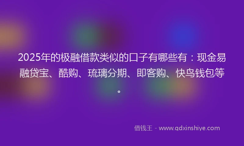2025年的极融借款类似的口子有哪些有：现金易融贷宝、酷购、琉璃分期、即客购、快鸟钱包等。