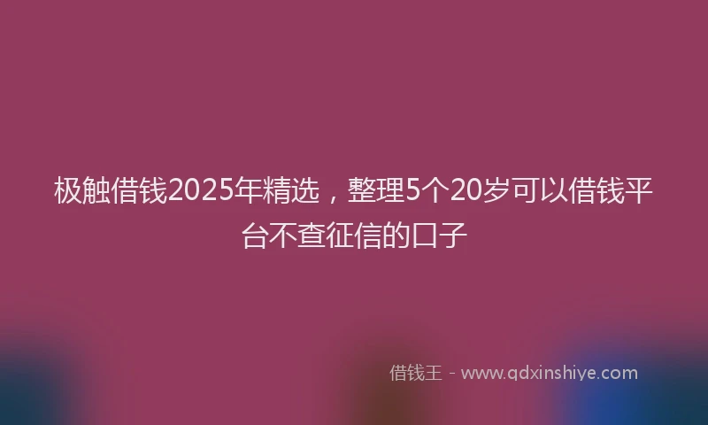 极触借钱2025年精选，整理5个20岁可以借钱平台不查征信的口子