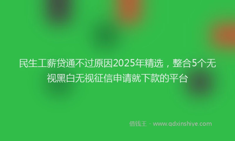 民生工薪贷通不过原因2025年精选，整合5个无视黑白无视征信申请就下款的平台