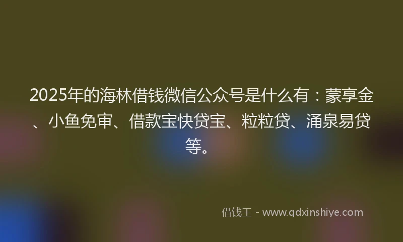 2025年的海林借钱微信公众号是什么有：蒙享金、小鱼免审、借款宝快贷宝、粒粒贷、涌泉易贷等。